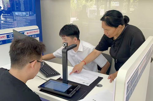 金融貸款驅動產業興，云縣堅果鏈生金——論社會經濟咨詢服務的橋梁作用